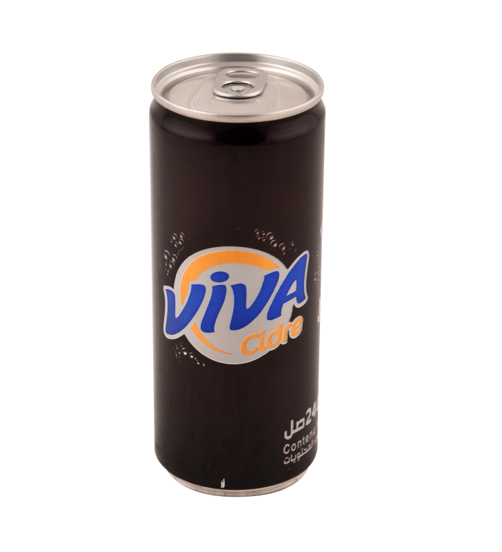 Boisson gazeuse VIVA 24cl